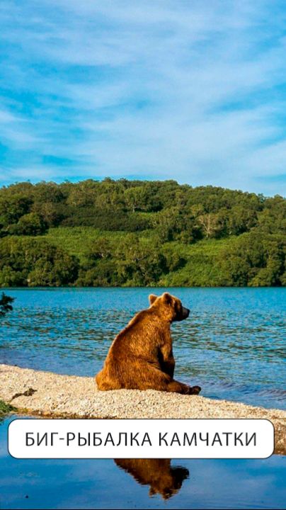 Семга блин!