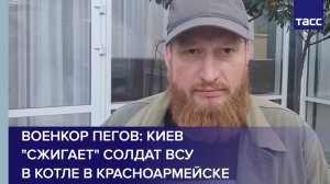 Военкор Пегов: Киев "сжигает" солдат ВСУ в котле в Красноармейске