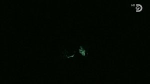 Голые и напуганные XL 5 сезон 2 серия (реалити-шоу, 2018)