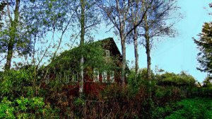 Грустная прогулка