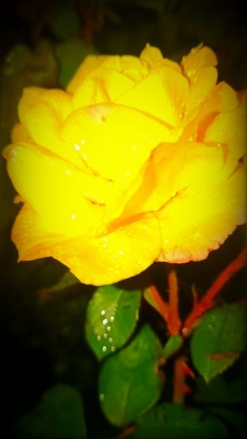 «Wanted: тот самый человек, который уже 100 раз пытался поставить Р—давай быстро добьёмся результата смотреть онлайн