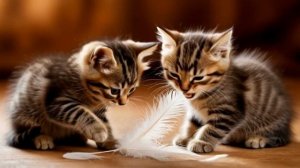 Котики. Милые и прикольные котики. Животные.