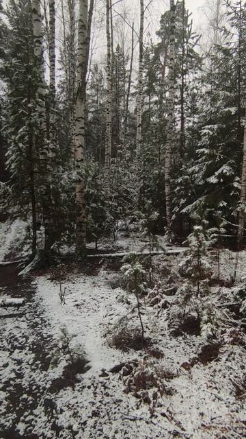 Первый снег смотреть онлайн