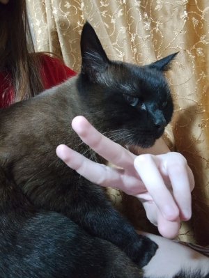 Даша💖|крашумь в шк| ссылка на тгк в описании👉👉👉👉👉👉👉👉👉👉👉👉👉👉👉👉👉👉👉👆🏻👆🏻👆🏻👆🏻