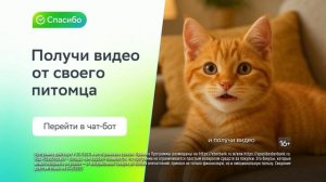 Спасибо, у меня лапки! Ролик 1