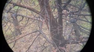 Кормушка для птиц