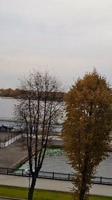 Сквозь осенний ветер Ярославля