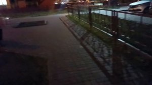 Ночной выгул 😃...