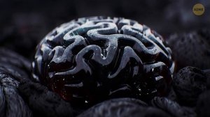 Они нашли золотые монеты, гуляя с собакой