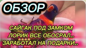 САМВЕЛ АДАМЯН, АНДРЮХА ПРОСИТ ПОМОЩИ У ПРОДАВЦОВ, ЛЕОНТЬЕВНА ОБЛЕНИЛАСЬ, НИКОЛЕТТА БЛИЖЕ К МЕЧТЕ..