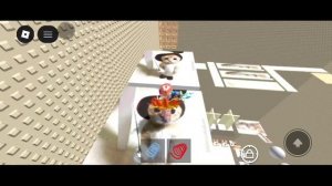 эль гато тавер