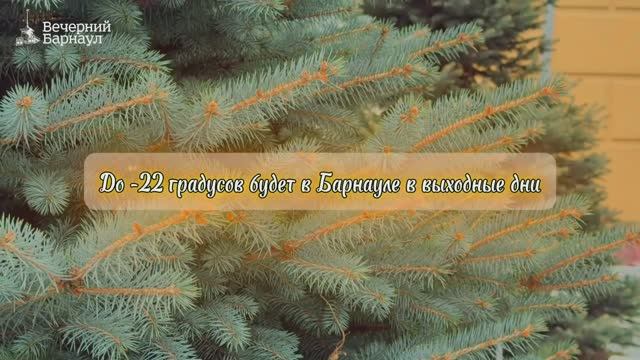 Резкое похолодание до -22 градусов ожидается в выходные дни на территории Барнаула