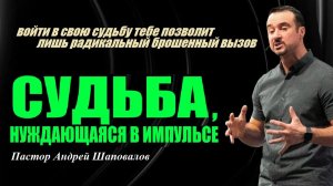 Самые великие вещи исходят изнутри человека. Судьба, нуждающаяся в импульсе. Пастор Андрей Шаповалов