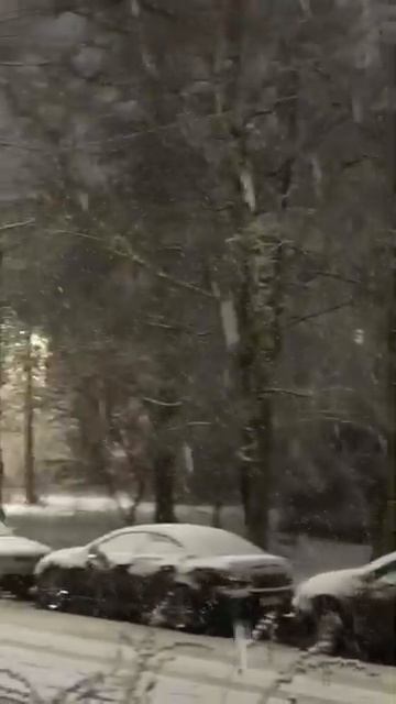 Рыболов Иванович . А снег идёт.