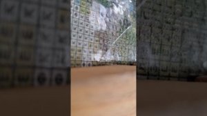 будьте бдительны..