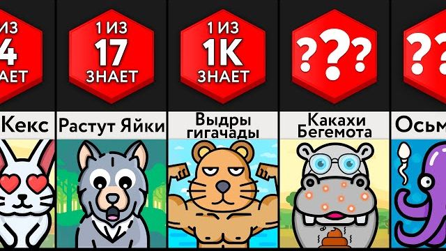 Сравнение: Пубертат Животных смотреть онлайн