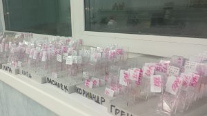 АпиФорумАлтай'25 Работа мелиссопалинологического отдела ГильдииМедовыхСомелье.mp4