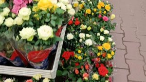 #красота роз к конце  ноября