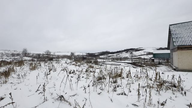 Логинова, д. 79 смотреть онлайн