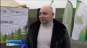 2 500 саженцев ясеня и акации высадили в Ингушетии