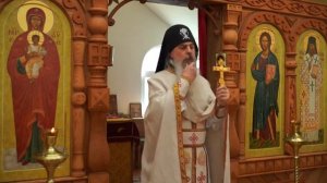 Схиигумен Гавриил - Согрешавшие грехом разрушают брак и калечат собственных детей