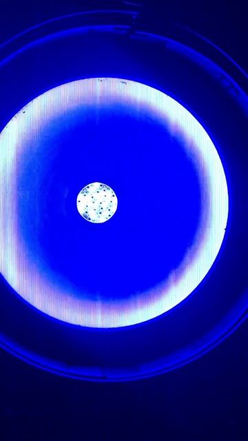 Залипательно красиво музыкально