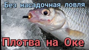 безмотылка на Оке, оттачиваю навыки в без насадочной ловле