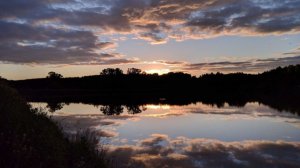 Чистые пруды (Игорь Тальков)