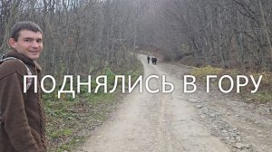 РЕМОНТ ПРОДОЛЖАЕТСЯ // ПОХВАЛИЛИ // ПОДНЯЛИСЬ  НА ГОРУ