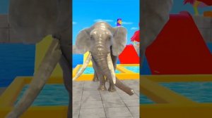 Животные превращаются, Мультики для детей