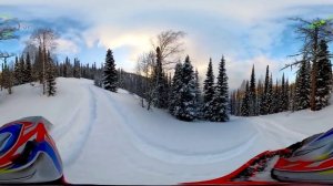 Зимний_лес_Горы_Алтая