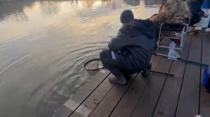 Спорт зона пламп