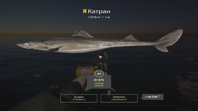 Русская Рыбалка 4. Норвежское море. 55-ая банка смотреть онлайн