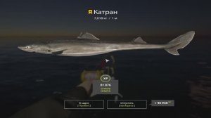 Русская Рыбалка 4. Норвежское море. 55-ая банка