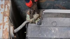 ГАЗ-52..Простоял  Очень Долго.. Конечно заведётся!!!Знак качества СССР