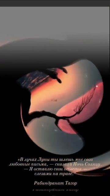 Сладких снов