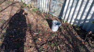 Распаковка продуктов ! Сажаю клубнику 🍓,, Купчиха "Выпилила ветки в огороде ! Юг России🌴