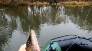 Особенности ЛОВЛИ ЩУКИ на МАЛОЙ РЕКЕ ! Рыбалка на СПИННИНГ Поздней Осенью .