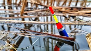 Спокойное место для рыбалки. Ловлю в одиночестве. Интересные поклёвы. Русская рыбалка перед зимой