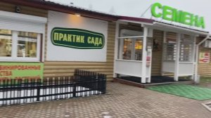 Семена СПб.