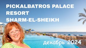 Обзор отеля Pickalbatros Palace Resort
