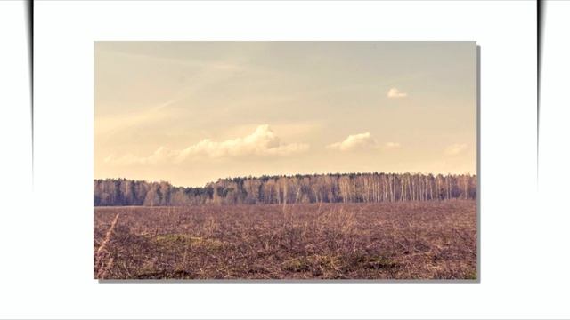 Radio Silence-Talking Heads