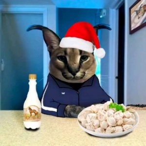 сори за начало не получилось продолжаем Стрим