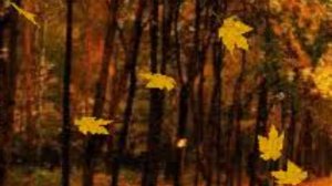 СП Добиваю недовязы 4/2025 Отчёт 41