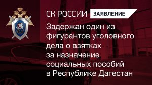 Задержан фигурант уголовного дела о взятках за назначение социальных пособий в Республике Дагестан