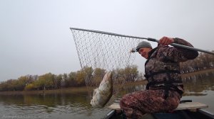 СУДАК НА 18 КГ, МНЕ НЕ ПОПАЛСЯ, НО ВЕЧЁРКА ДАЛА ЖАРУ. Осенняя рыбалка на судака. Рыбалка на спиннинг