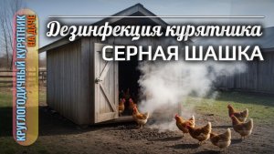 Серная шашка для дезинфекции курятника