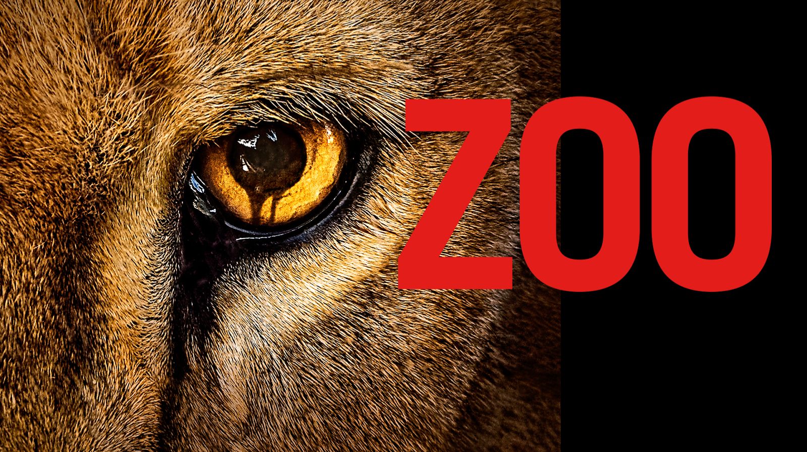 Сериал Зоо-апокалипсис / Zoo — 1 сезон 7 серия смотреть онлайн