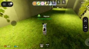 Роблокс (Roblox) Игра с котятами