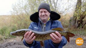 Рыбалка в конце ноября: кто где клюет? Доброе утро. Фрагмент выпуска от 28.11.2025